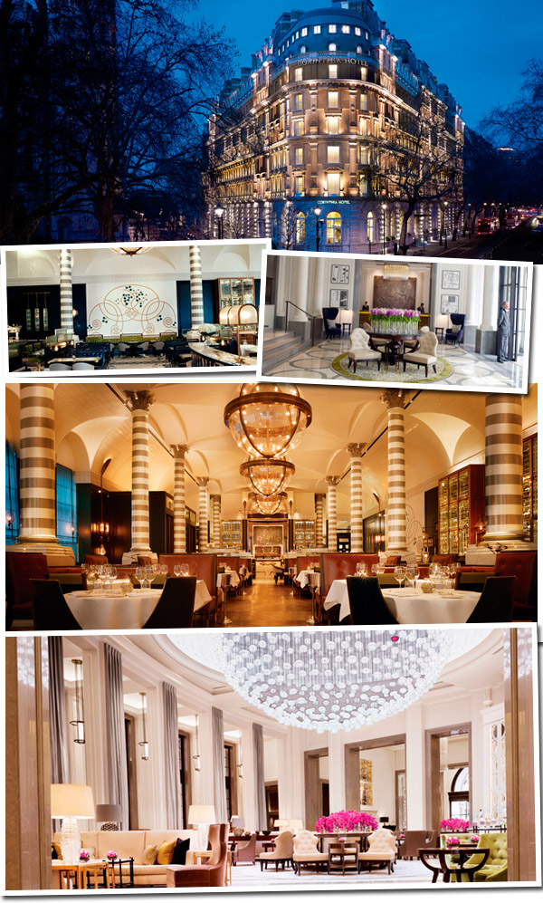 massimo-restaurante-londres-3